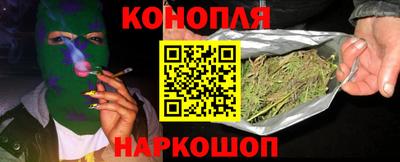 гидра Будённовск