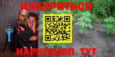 гидра Будённовск
