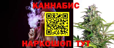гидра Будённовск