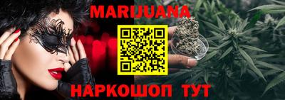 гидра Будённовск