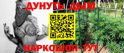 гидра Будённовск
