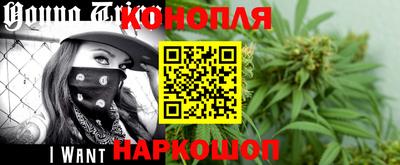 гидра Будённовск