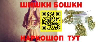 гидра Будённовск