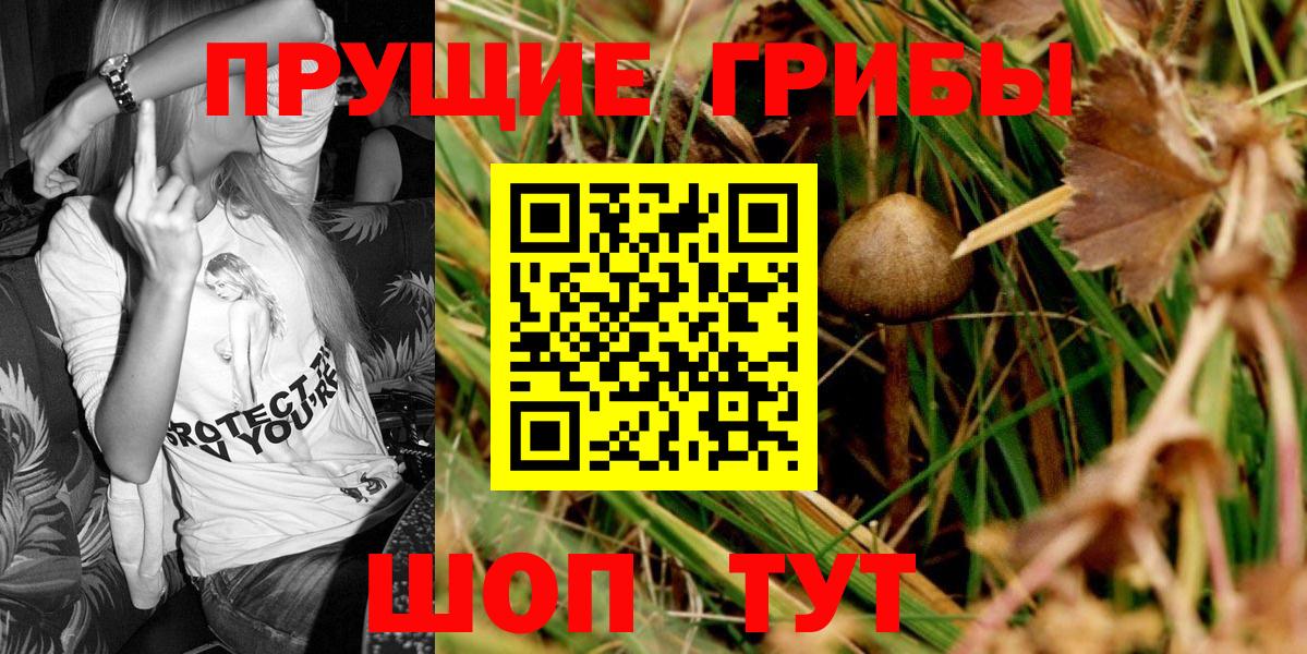 Псилоцибиновые грибы мухоморы Ростов Великий