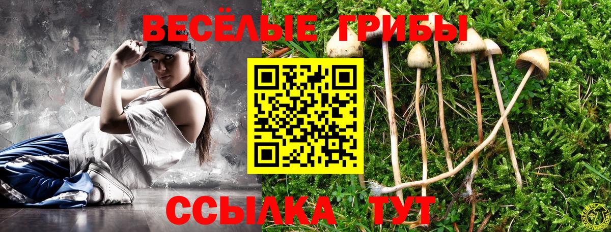 Галлюциногенные грибы прущие грибы  Псилоцибиновые грибы прущие грибы  Ростов Великий  Вход с VPN 